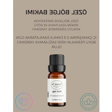 Frefly Store Doğal Niaouli Uçucu Yağı, 100% Saf, 10 ml
