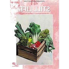 Frefly Store Desen Kitabı Still Life N: 41 Natürmort N: 41