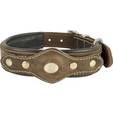 Frefly Store Hakiki Yağlı Deri Airtag Uyumlu Köpek Tasması – Dayanıklı, Konforlu ve Şık Tasarım, Airtag Bölmeli Gerçek Deriden Köpekler Için Tasma (Kahverengi, S)