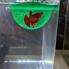 Frefly Store Yüzen 8 cm Beta Balığı Saklanma Alanı, Akvaryum