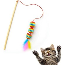 Frefly Store Gökkuşağı Renkli Tüylü Olta Kedi Oyuncağı - 40 cm