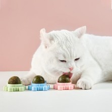 Frefly Store Catnipli Yenilebilir Kedi Nanesi Otu Yalama Oyuncak Topu, Yengeç Şeklinde