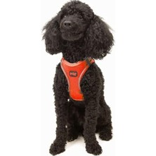 Frefly Store Yumuşak ve Nefes Alabilir Kedi Köpek Göğüs Tasması, Neon-Turuncu, Xsmall