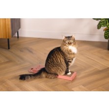 Frefly Store Pembe 45 cm Kedi Karton Tırmalama