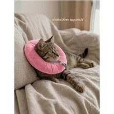 Frefly Store Pembe Ayarlanabilir Kedi Köpek Koruyucu Boyunluk - Elizabeth Yakalık