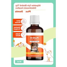 Frefly Store Biotinli Tüy Sağlığı Damlası - 50 ml