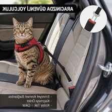 Frefly Store Kedi ve Küçük Irk Köpekler Için Kaçış Önleyici Göğüs Tasması Seti