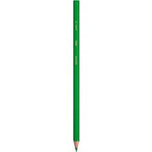 Frefly Store Kuru Boya Kalemi 12'li Set, Metal Tüp, Dayanıklı ve Kolay Açılır