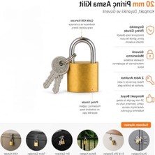 Frefly Store Orret Home 20 mm Pirinç Gövdeli Asma Kilit Anahtarlı Mini Kilit Paslanmaz Çelik Kanca Küçük Boy Güvenlik Kilidi Dolap Çanta Bavul Kilidi