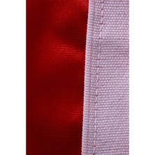 Frefly Store 100X150 cm Atatürk Baskılı Türk Bayrağı, Sert Plastik Kutu ile
