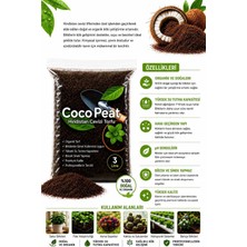 Nexvoria Cocopeat Hindistan Cevizi Torfu 3 Litre – Organik Cocopeat Toprak Düzenleyici Saksı ve Fide Yetiştirme Torfu