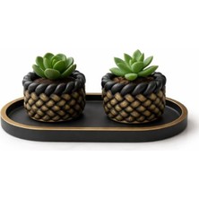 Frefly Store Mini Sukulent Saksı Seti, 2’li Siyah Gold Tasarımı ile Dekoratif