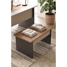Robin Home Nexus 72X45 cm Ofis Sehpası Orta Sehpa Sepet-Kumsal-Antrasit