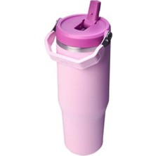 Frefly Store 0.89 Litre Kapasiteye Sahip Kiraz Çiçeği Pipetli Termos