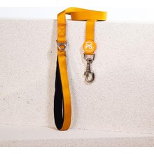 Frefly Store Gold Köpek Gezdirme Kayışı 120 cm x 2 cm