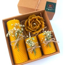 Frefly Store Petekoğlu Balmumu Mum Dekoratif Hediye Kutusu 4 Lü Set Doğal Petek Beeswax Candle Açmış Gül (Yeşil Krem Süslemeli Açmış Gül)          [enerji Sınıfı A]