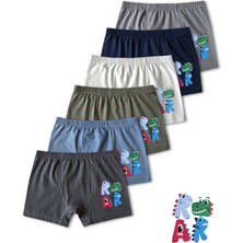 Panfilia  %95 Pamuklu Erkek Çocuk Boxer 6'lı Set / Külot / Iç Çamaşır
