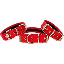 Frefly Store Yumuşak Dokulu Kolon Köpek Tasması (L, Kırmızı)