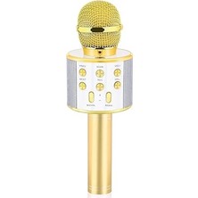 Frefly Store Babilden C-8501 Karaoke Mikrofon Bluetooth USB & Tf & Aux (Gold)