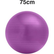 Frefly Store 75 cm Pilates Topu, Tek Ebat, Pılatestopuc, Mor