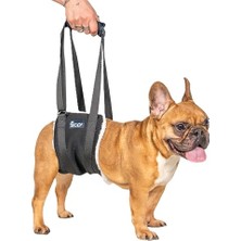 Frefly Store Köpek Yürüyüş Desteği – Sling Taşıma Aparatı, Felçli ve Yaşlı Köpekler Için Yürüme Yardımı, Ortopedik Destek (L)