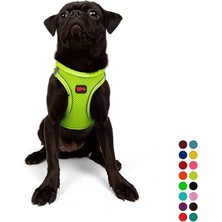 Frefly Store Tailpetz Air-Mesh Küçük ve Orta Irk Kedi Köpek Göğüs Tasması - Yumuşak, Nefes Alabilir, Dayanıklı (Neon-Sarı, Medium)
