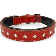 Frefly Store %100 Hakiki Deri - Antik Tokalı Köpek Tasması – Yumuşak Iç Katman, Dayanıklı ve Şık Tasarım - Gerçek Deriden Tasma; Ekstra Küçük, Küçük, Orta, Büyük, Çok Büyük Köpekler Için (Kırmızı, L)