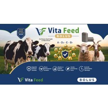 VitaFeed Buzağı Bolus