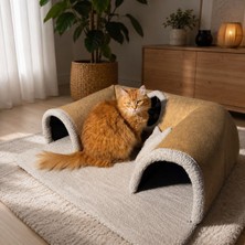 Patikadan | Patirotası Kedi Oyun Tüneli