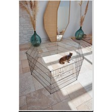Empressco Petpretty Oyun Çiti Orta Boy - 60X54CM Kutulu