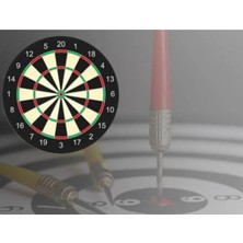 Empressco Dart Seti Çift Taraflı Oklu Hedef Vurma Oyunu Yetişkin Dartı