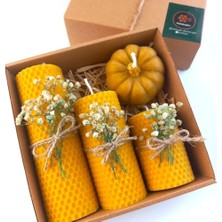 Frefly Store Petekoğlu Balmumu Mum Dekoratif Hediye Kutusu 4 Lü Set Doğal Petek Beeswax Candle Bal Kabağı (Krem Yeşil Çiçekli)          [enerji Sınıfı A]