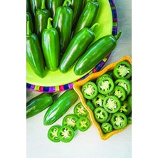 Frefly Store Doğal Meksika Biberi Jalapeno Acı Biber 100 Adet Tohum