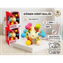 Depomiks Avm Eğitici Dönen Kirpi Balığı Diş Kaşıyıcılı Çok Renkli Bpa Içermez Materyal ile Güvenli Oyunz