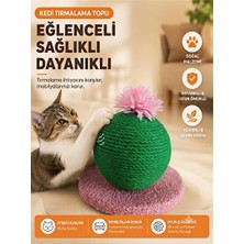 Ravéon Kedi Tırmalaması Doğal Sisal Toplu Tırmalama ve Oyun Alanı