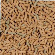Astraltech Sera Raffy P Kaplumbağa Yemi 1000 ml 250 gr
