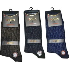 Ava Style Born Erkek Yün Çorap (Lamswool) 3 Adet Ava