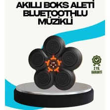 Azrlya Ev Tipi Akıllı Boks Duvar Paneli Müzikli Bluetoothlu Refleks Geliştirme Cihazı - Lisinya
