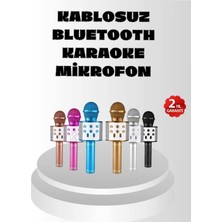Astraltech Karaoke Mikrofon Yankı Efektli