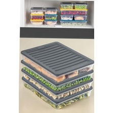 Astraltech Orret Home 4 Adet Buzdolabı Organizeri, Buzdolabı Için Çok Amaçlı Saklama Kabı, Fresh Box, Şeffaf V