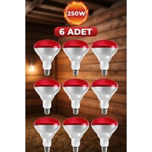 Eco Lounge (6 Adet) 250W Kızılötesi Isıtıcılı Hayvan Isıtma ve Kuluçka Lambası (Kırmızı Işık) E27 (Kalın Duy)