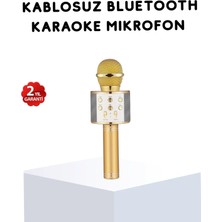 Astraltech Karaoke Mikrofonu USB Aux Girişli Yankı Efektli