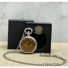 Aesco Özel Kutulu Camlı Gümüş Köstekli Saat ALK4661