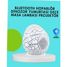 Astraltech Dinozor Yumurtası Tasarımlı Gece Lambası – Müzik ve Işık Senkronizasyonlu