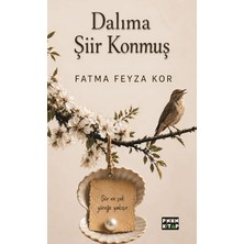 Pinhan Yayıncılık Dalıma Şiir Konmuş