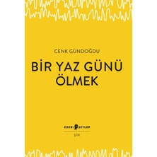 Edebi Şeyler Bir Yaz Günü Ölmek