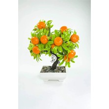 Empressco Dekor Ağaç Portakal Ağacı Saksılı Dekoratif Ağaç Biblo 24X13 cm