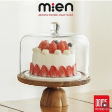 Roykıng Akasya Standlı Cam Fanus 26*26