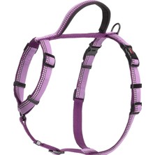 Astraltech Company Of Animals Halti Köpekler Için Yürüyüş Göğüs Tasması, L Boy, Mor