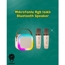 Astraltech Iki Mikrofonlu Renkli LED Işıklı Karaoke Cihazı